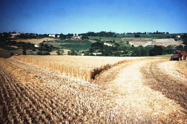 Agriturismo Il Mio Casale Villa Monte Colombo Buitenkant foto